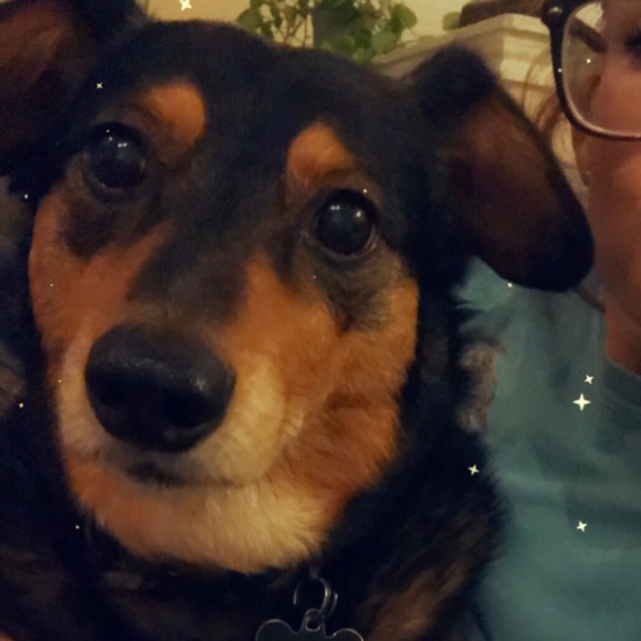 Meet your Posher, Kaitlyn - Picture 1 of 1